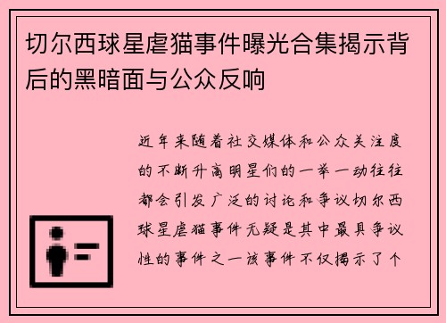 切尔西球星虐猫事件曝光合集揭示背后的黑暗面与公众反响