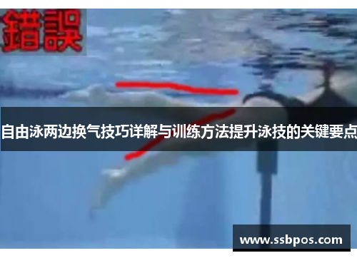 自由泳两边换气技巧详解与训练方法提升泳技的关键要点