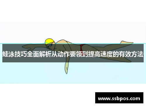 蛙泳技巧全面解析从动作要领到提高速度的有效方法