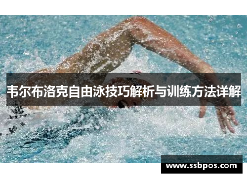 韦尔布洛克自由泳技巧解析与训练方法详解