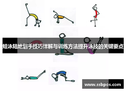 蛙泳陆地划手技巧详解与训练方法提升泳技的关键要点