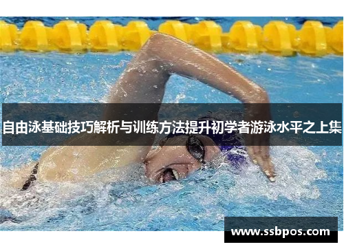 自由泳基础技巧解析与训练方法提升初学者游泳水平之上集
